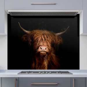 Highland Cow Glass Printed Splashback 600mm x 750mm