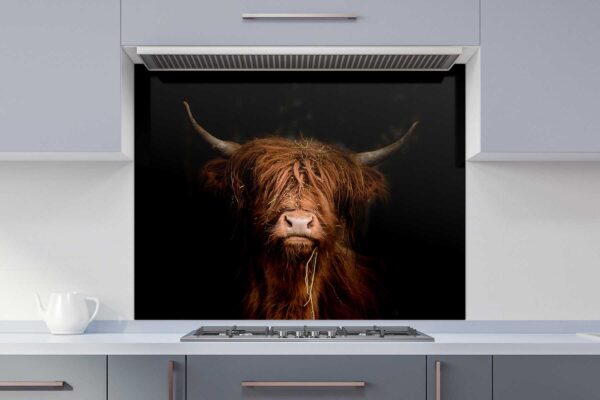 Highland Cow Glass Printed Splashback 600mm x 750mm