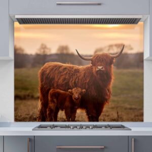 Printed Glass Splashbacks