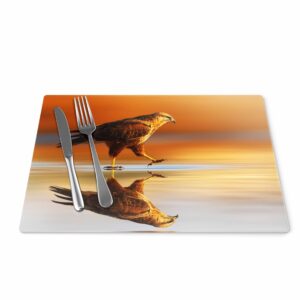 Printed Glass Placemats